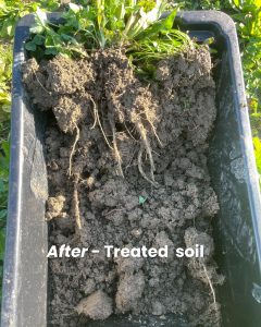 soil treated